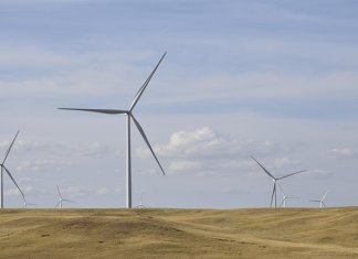 ekosolarzory-2025-05 - ekosolarzory_energia odnawialna_28_2 - Werka.jpg