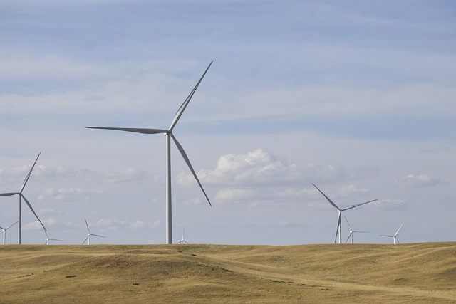 ekosolarzory-2025-05-ekosolarzory_energia-odnawialna_28_2-Werka ekosolarzory-2025-05 - ekosolarzory_energia odnawialna_28_2 - Werka.jpg